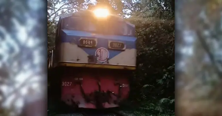 লাইনচ্যুত ট্রেনটির ছবি